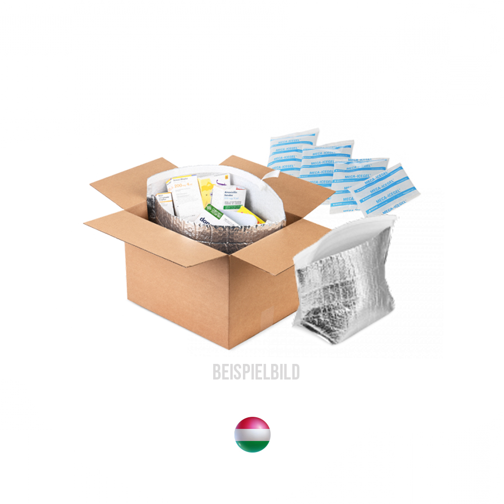 Kühlverpackung für Versand